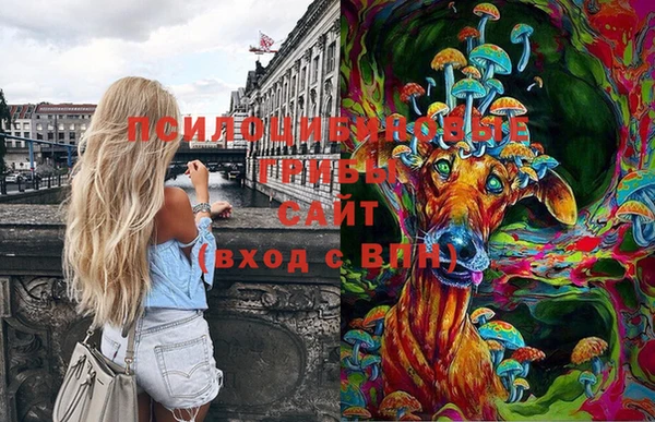 дурь Горняк