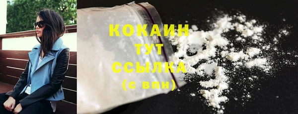 гашик Горнозаводск