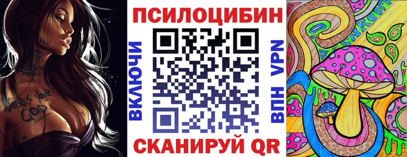 продажа наркотиков  Демидов  ссылка на мегу ONION  площадка официальный сайт  Псилоцибиновые грибы Psilocybe 